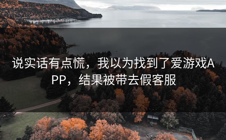 说实话有点慌，我以为找到了爱游戏APP，结果被带去假客服